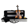 Leonardo LV-1844 - 4/4 size violin with case and bow