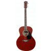 T.Burton Greengo J C TRD acoustic guitar