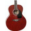 T.Burton Greengo J C TRD acoustic guitar