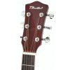T.Burton Greengo J C TRD acoustic guitar