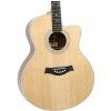T.Burton Passage J C N acoustic guitar