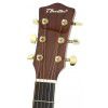 T.Burton Passage J C N acoustic guitar