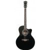 T.Burton Greengo J C BK acoustic guitar