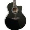 T.Burton Greengo J C BK acoustic guitar