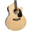 T.Burton Greengo J CE N acoustic guitar with EQ