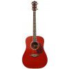 T.Burton Passage W TRD acoustic guitar