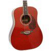 T.Burton Passage W TRD acoustic guitar