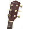 T.Burton Passage W TRD acoustic guitar