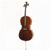 Stentor SR-1586E Conservatoire Cello Set 1/2