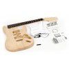 HarleyBenton Strat Kit Do It Yourself