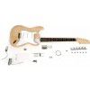 HarleyBenton Strat Kit Do It Yourself