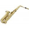 Roy Benson AS-302 Es alto saxophone (with case)