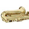 Roy Benson AS-302 Es alto saxophone (with case)