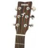 Yamaha FG 700 MS Acoustic guitar