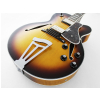 FGN Masterfield Jazz HH Jazz Burst electric guitar