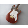 FGN Expert Odyssey Ripe Kaki Gradation electric guitar