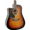 T.Burton Riverside W CE BS L acoustic guitar with EQ