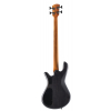 Spector NSPULSE4BSM bass guitar NS Pulse 4 4-Saiter aktiv Black Stain Matte