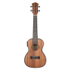 Cascha HH20358E concert ukulele with pickup mahogany