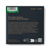Acoustic Phosphor Bronze 12-string Light 010-047