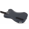 Schecter 2148 PT EX Dorian Grey electric guitar, baritone