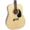 Nostalgia N2 NAT acoustic guitar