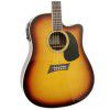 Nostalgia N10 TB acoustic guitar with EQ