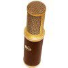 BlueMicrophones Woodpecker condenser microphone