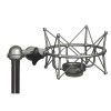 Neumann TLM103 + EA1 studio microphone