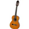 Valencia CG 1K 12 NA classical guitar 1/2 set