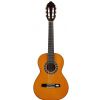 Valencia CG 1K 12 NA classical guitar 1/2 set