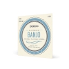 D′Addario EJ60 5-String Banjo, Nickel, Light, 9-20