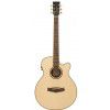 Tanglewood TR SF CE