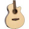 Tanglewood TR SF CE