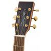 Tanglewood TR SF CE