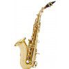 RoyBenson SS-115 soprano saxophone