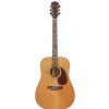 Morrison BD655 acoustic guitar + case