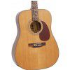 Morrison BD655 acoustic guitar + case