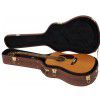 Morrison BD655 acoustic guitar + case