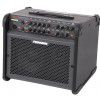 Fishman Loudbox 100 guitar amplifier