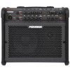 Fishman Loudbox 100 guitar amplifier