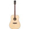 Tanglewood TR D acoustic guitar