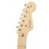 Fender American Stratocaster MN BLK electric guitar