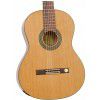 Miguel J. Almeria 1-CM 4/4 Classical Guitar