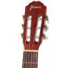 Framus CL Ideal 4/4 classical guitar (bag)