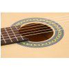 Framus CL Ideal 4/4 classical guitar (bag)