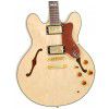 Epiphone Sheraton II NA electric guitar