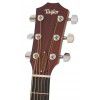 Taylor 214 CE