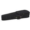 AN Tango light violin case
