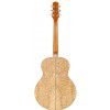 Ibanez EW 20 AS NT acoustic guitar